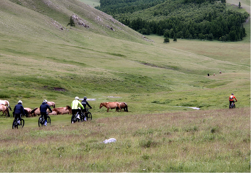 Cycling in Mongolian grassland